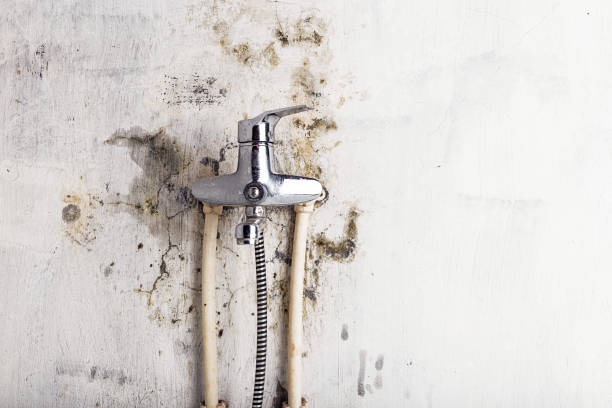Trusted Coppell, TX Mold Remediation Experts