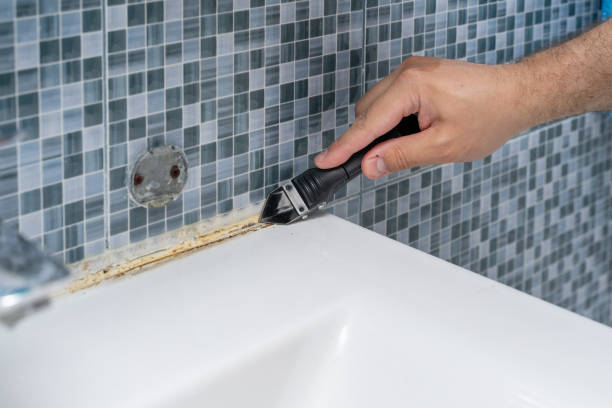 Best Residential Mold Remediation in Coppell, TX